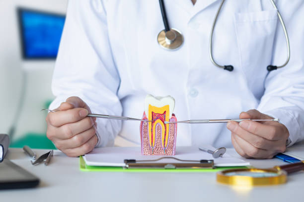 Best Emergency Dental Care for Sports Injuries in Booker, TX